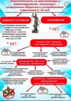 Памятка О юридической ответственности за потребление и распространение наркотических средств и психотропных веществ